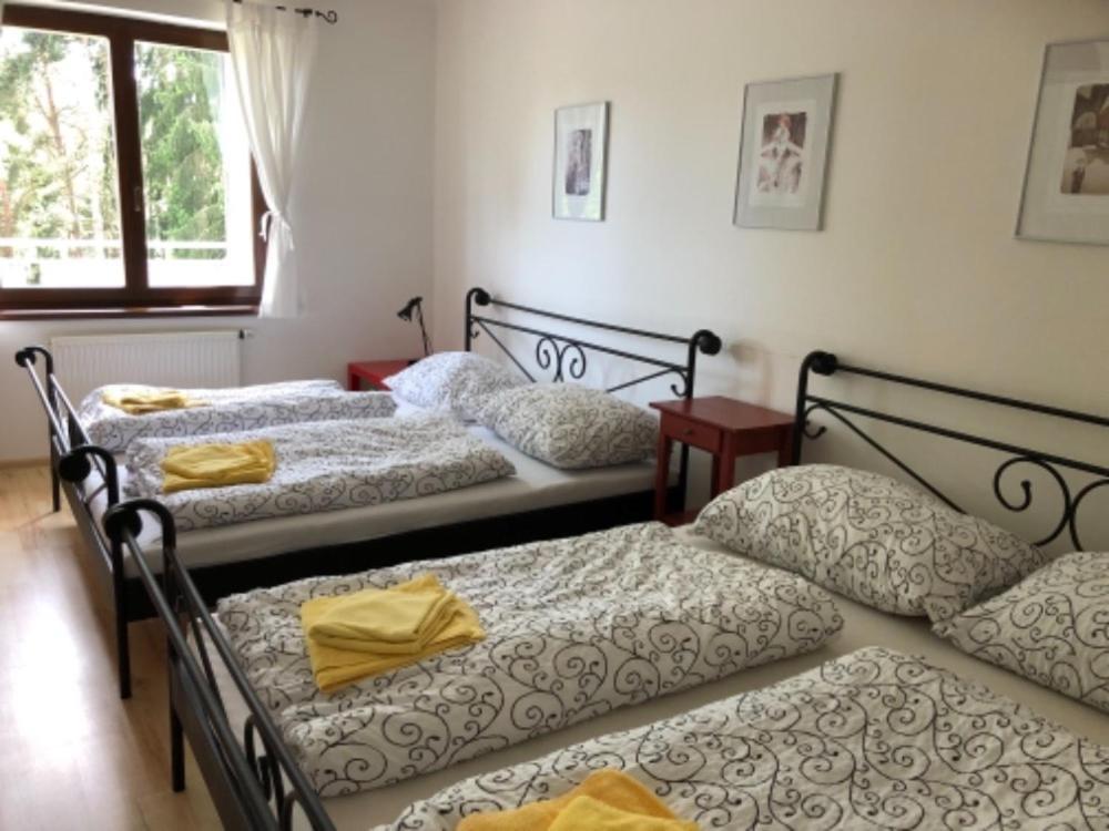 Apartmany Lipno Boucek Lipno nad Vltavou Ngoại thất bức ảnh