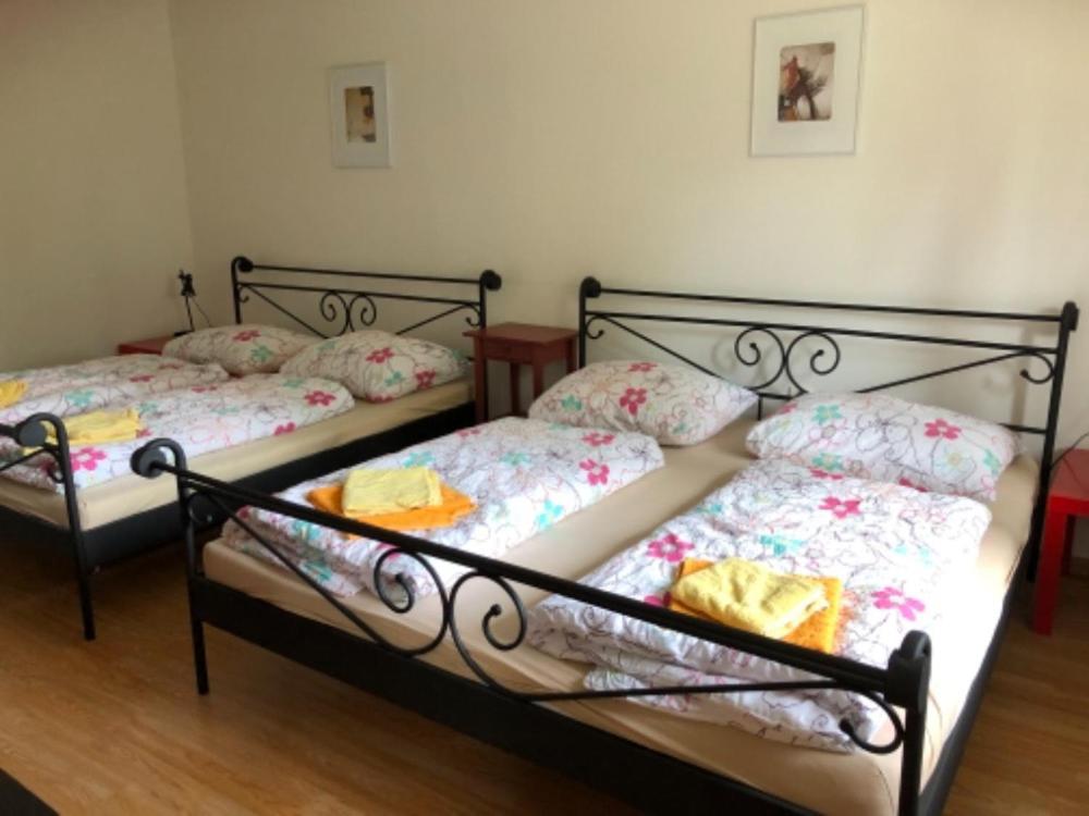 Apartmany Lipno Boucek Lipno nad Vltavou Ngoại thất bức ảnh